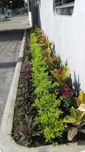 Flower Design Array