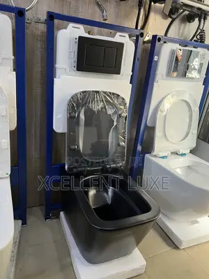 Matt Black Wall Hung Wc With Concealed Tank