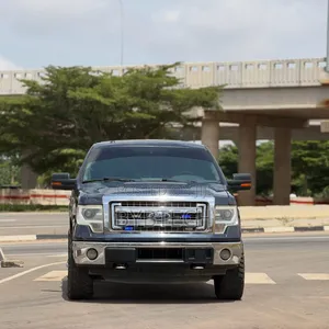 Ford F-150 2015 Blue