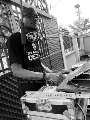 Professional Dj (Nerrd)