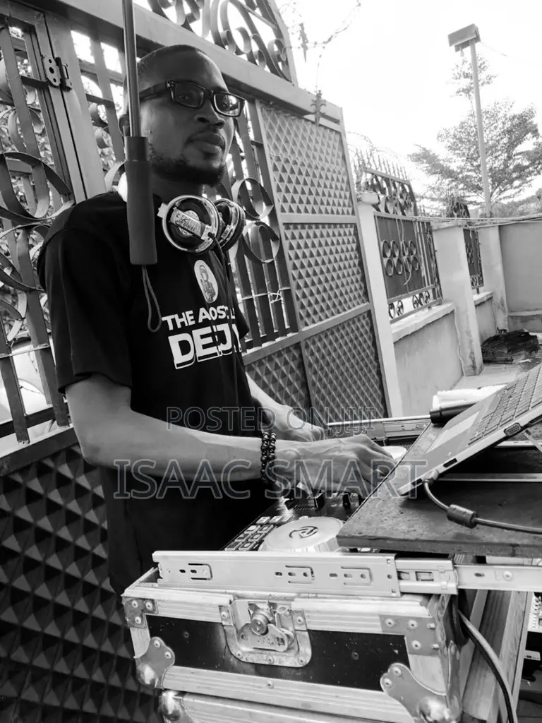 Professional Dj (Nerrd)