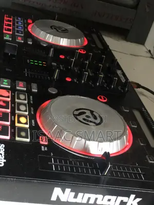 Professional Dj (Nerrd)