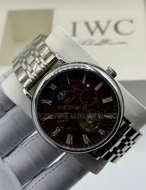 Iwc Schaffhausen Quality Luxury Men Chain Wristwatch