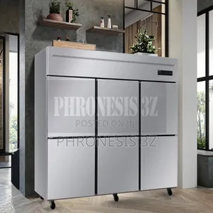 Industrial Stainless Kitchen Fridge/Freezer