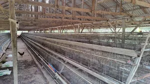 Used Battery Cage