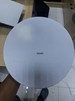 Lucky Tone Ceiling Speaker 80watts