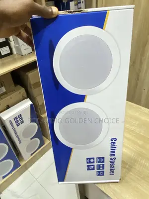 Lucky Tone Double Ceiling Speaker in 1