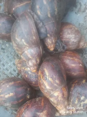 Good Day Sir / Ma We Have Large Quantities Of Snails We Can Supply