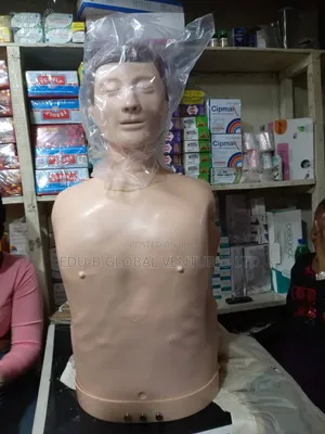 CPR Manikin Adult