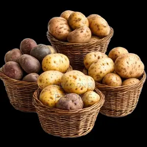 Irish Potato
