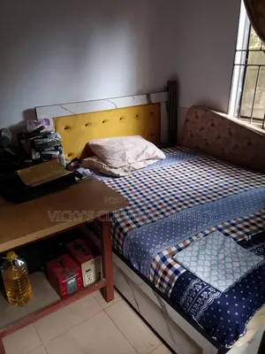 A Standard Cleaning of a Mini Flat