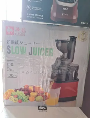 Camel Lt-02 300w 1000ml Cold Press Juice Extractor