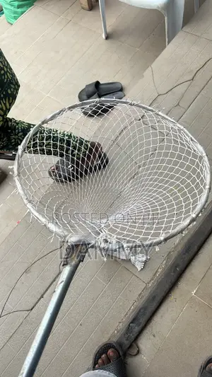 Harvesting Fish
