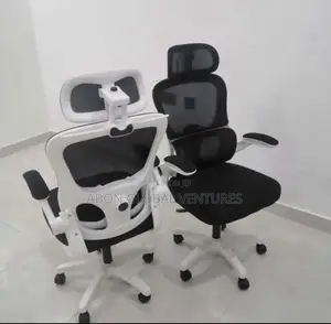Executive Office Chair