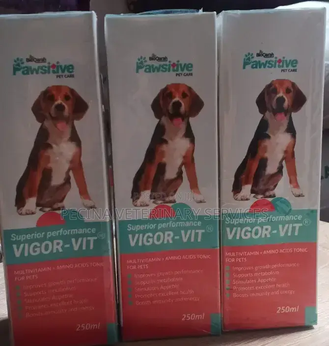 Vigor-Vit Multivitamin