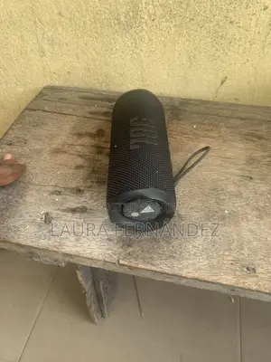 JBL Flip 6