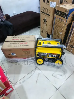 Elepaq 4.5kva Automatic Generator Model Sv6800e2 100% Copper Coil