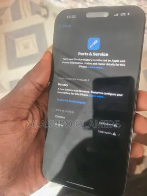 Apple iPhone 15 Pro Max 256 GB Gray