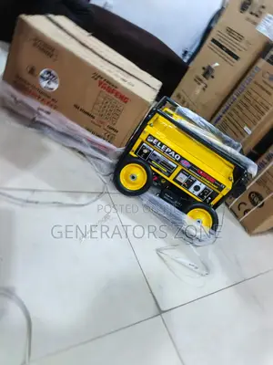 Elepaq 4.5kva Automatic Generator Model Sv6800e2 Heavy Duty Generator