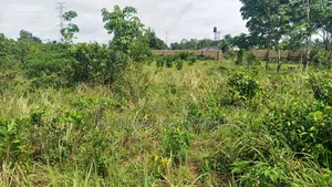 Premium Plot of Land for Sale