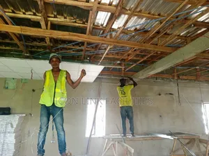 Suspended Ceiling Tiles and Grids Systems
