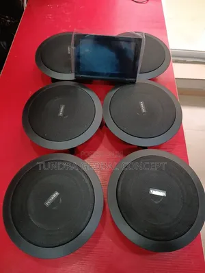 Tundra Smart Home Sound System