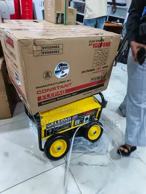 Elepaq 4.5kva Automatic Generator Model Sv6800e2 Convenient Electric S