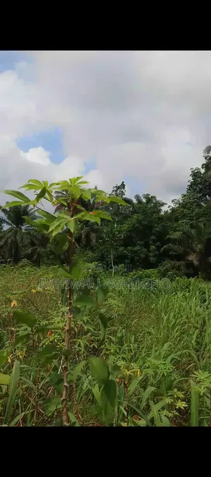 Acre of Land