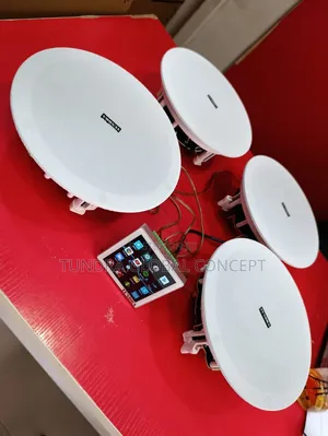 Tundra Home Ceiling Speakers and Wall Amplifier