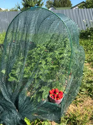 70% Agricultural Shade Net Agrotex (4 × 50 M)