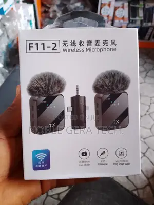 Wireless Mic