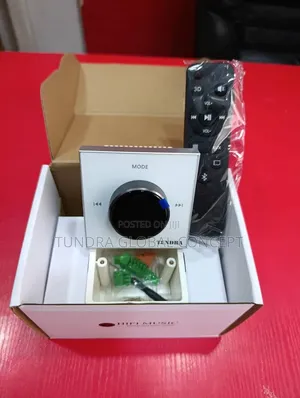 Tundra 4inches Bluetooth Wall Amplifier With Knob