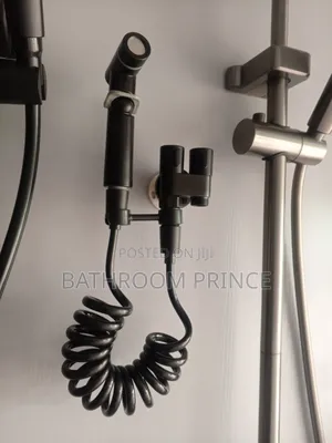 Modern Black Bidet Sprayer (Bum Wash)