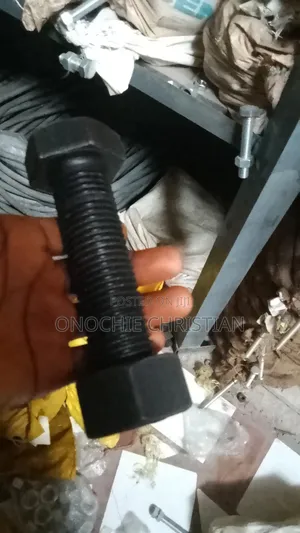 Bolt Nuts and M24x100
