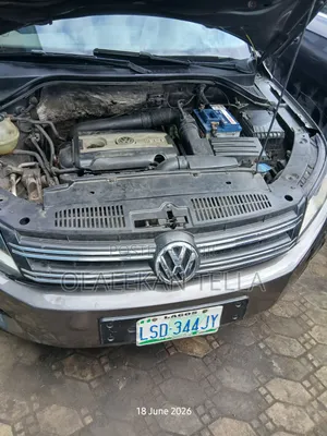 Volkswagen Tiguan 2013 Brown
