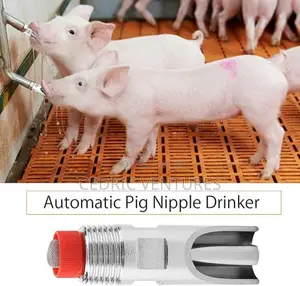 Stainless Steel Pig Nipple Drinker Feeder - 5 Pieces