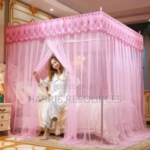Canopy Mosquito Net With Poles