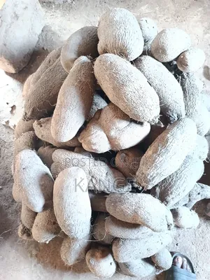Sweet Water Yams