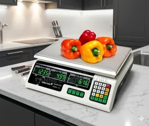 40kg Digital Price Computing Weighing Scale Rechargeable