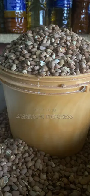 Paint of Honey Beans