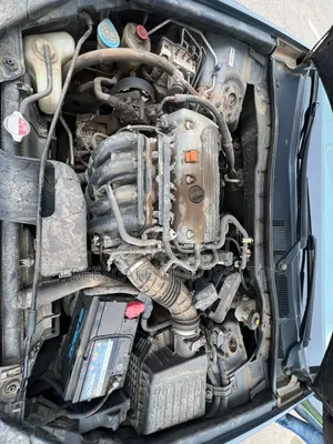 Honda Accord 2010 Gray