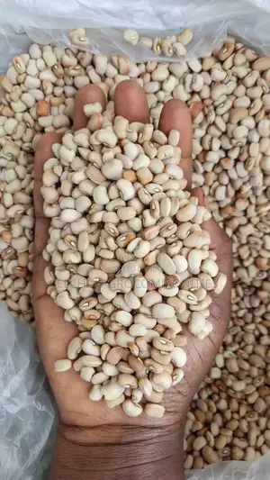 Premium Dry Beans for Sale.Wholesale Retail | Bulk Supply in Nigeria