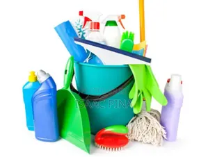 Cleaning Service