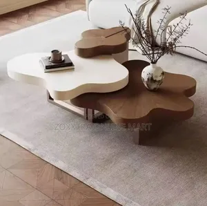 Modern Irregular Coffee Table Set