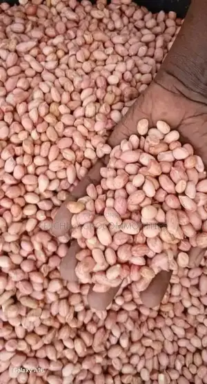 Premium Groundnut - Clean Dried Bulk Supply, Nigeria Internationally
