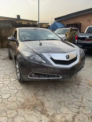 Acura ZDX Base AWD 2011 Gray