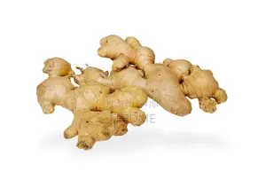 Fresh Garlic