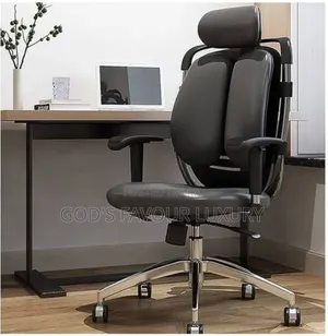 Ergonomic Office Orthopedic Kidney Chair.