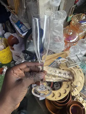 Acrylic Champagne Cup