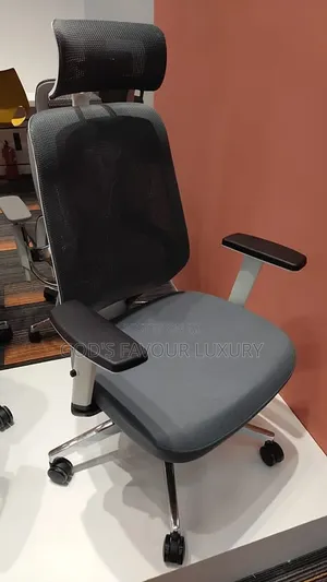 Ergonomic Office Mesh Chair